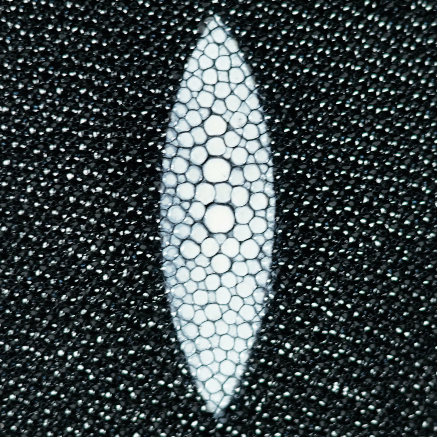 Eiffel: Bandolera Mantarraya.