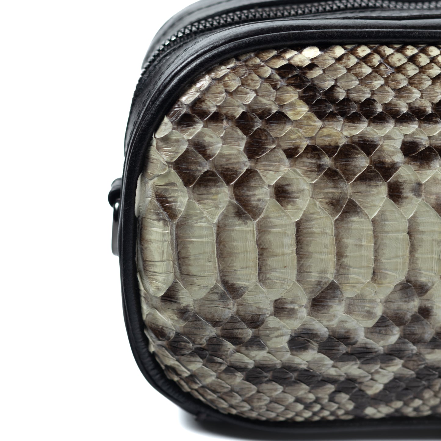 Coliseo XL: Bandolera Pitón Esc. Negro.