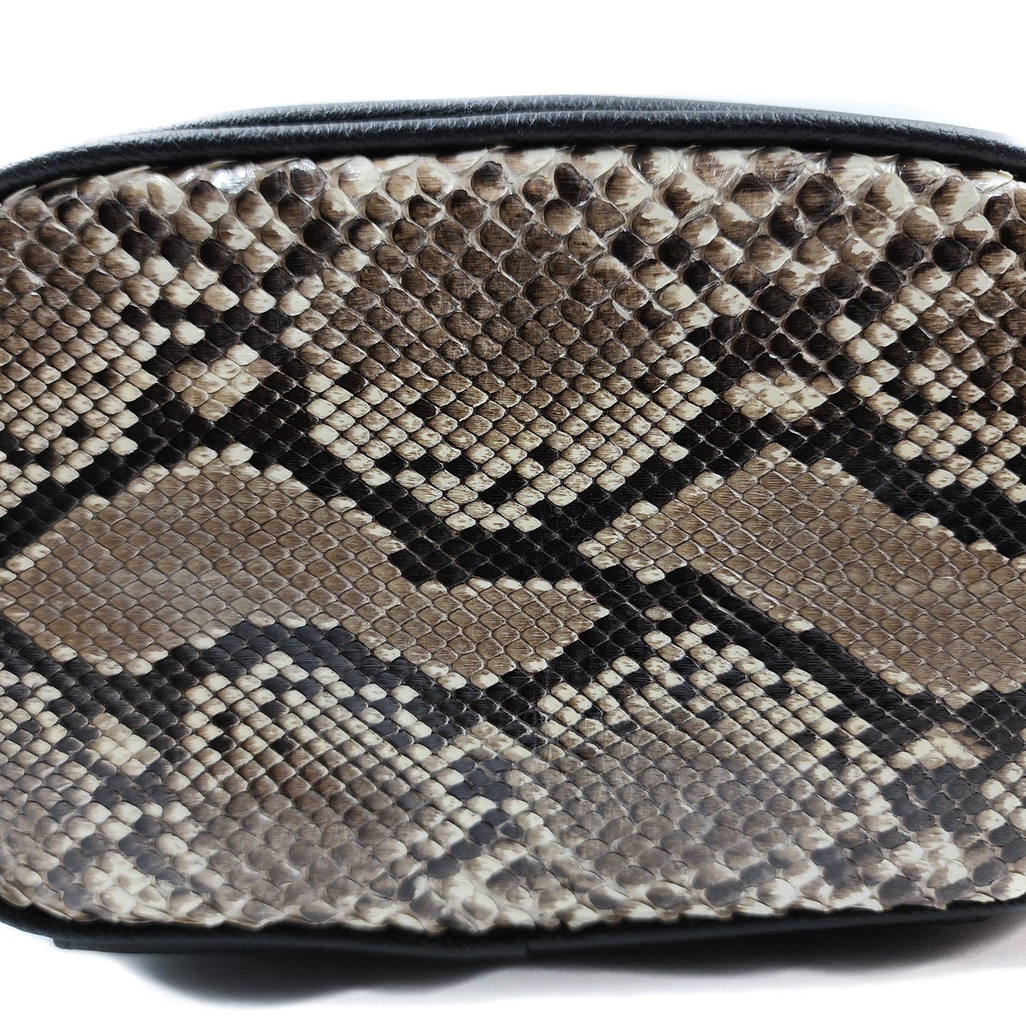 Colosseum: Python Shoulder Bag