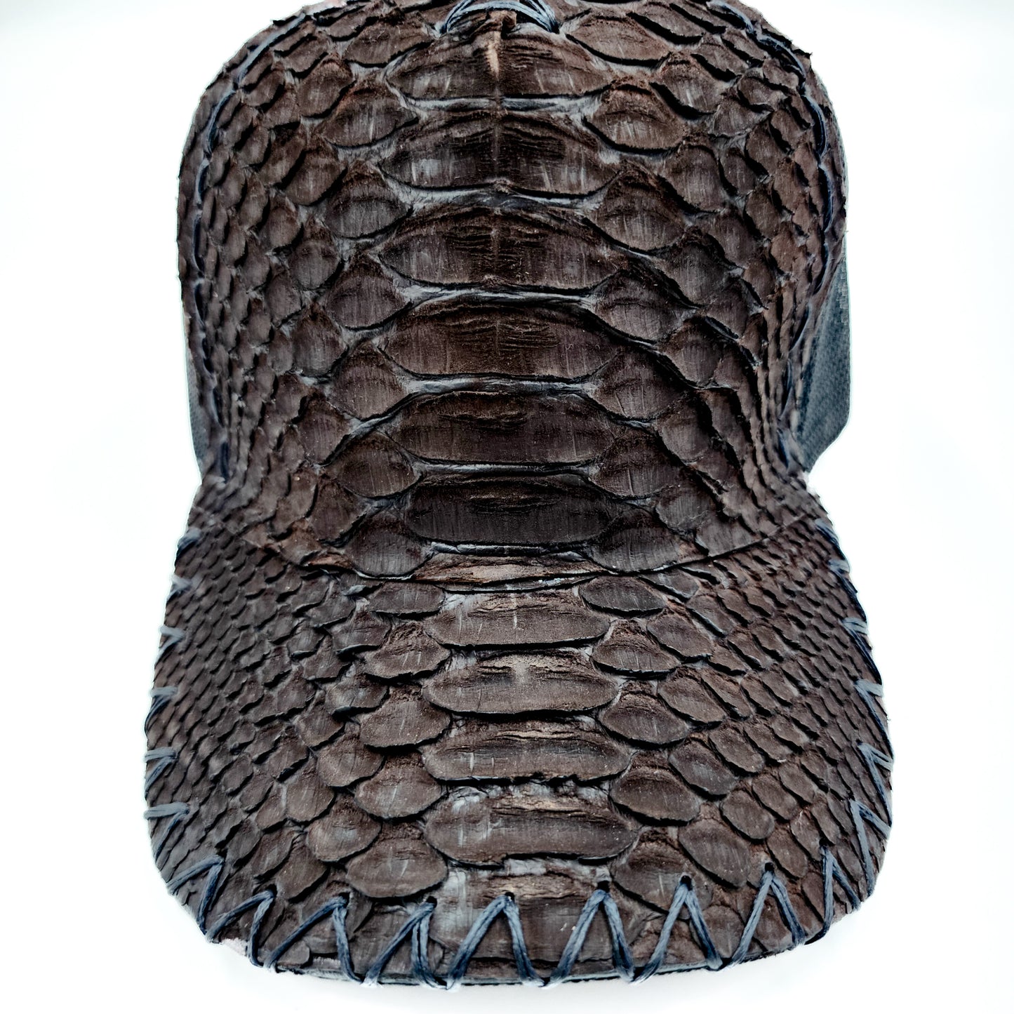 Python Skin Cap.